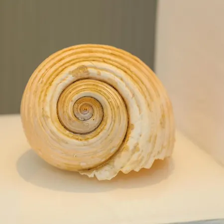 Lejlighed Stella Maris - Penthouse, Hvar Hvar Town